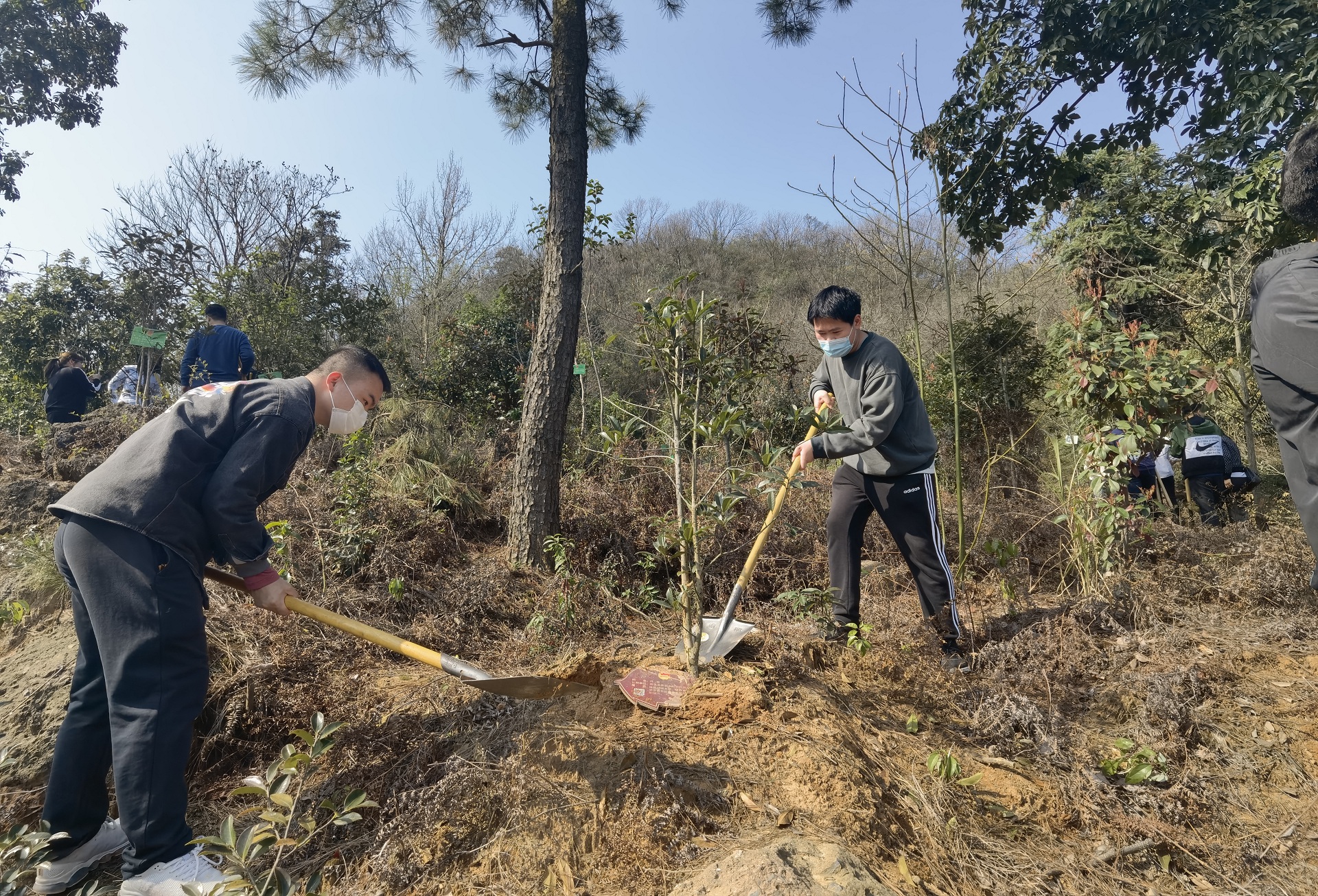 bdcc19e46b0ba00238f7bd847e892c4f.jpg 微信圖片_20220311165651.jpg